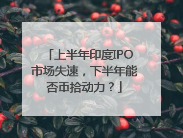 上半年印度IPO市场失速，下半年能否重拾动力？