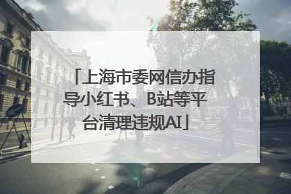 上海市委网信办指导小红书、B站等平台清理违规AI