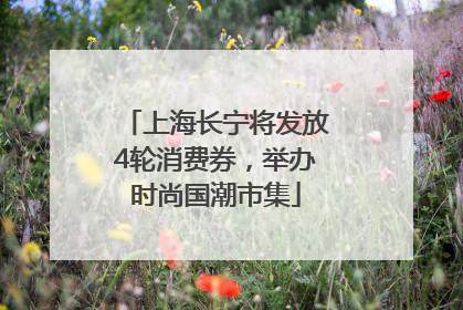 上海长宁将发放4轮消费券，举办时尚国潮市集