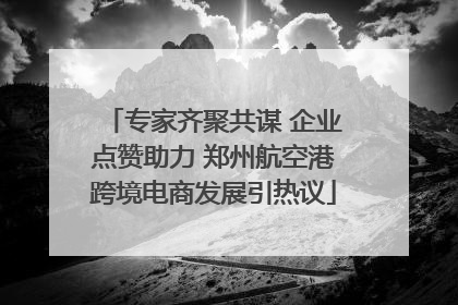 专家齐聚共谋 企业点赞助力 郑州航空港跨境电商发展引热议