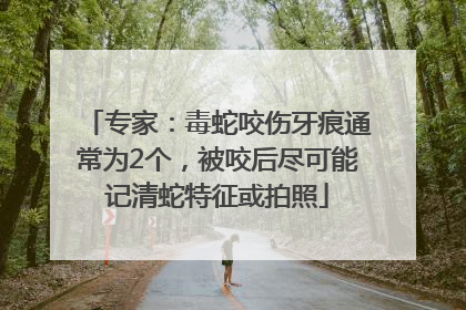 专家：毒蛇咬伤牙痕通常为2个，被咬后尽可能记清蛇特征或拍照