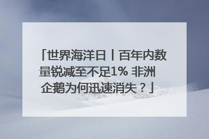 世界海洋日丨百年内数量锐减至不足1% 非洲企鹅为何迅速消失？