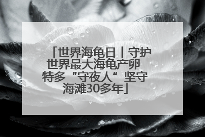 世界海龟日丨守护世界最大海龟产卵 特多“守夜人”坚守海滩30多年