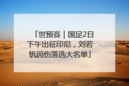 世预赛｜国足2日下午出征印尼，刘若钒因伤落选大名单
