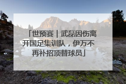 世预赛｜武磊因伤离开国足集训队，伊万不再补招顶替球员