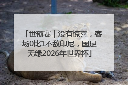 世预赛｜没有惊喜，客场0比1不敌印尼，国足无缘2026年世界杯