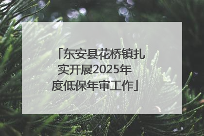 东安县花桥镇扎实开展2025年度低保年审工作