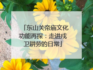 东山关帝庙文化功能再探：走进戍卫耕劳的日常
