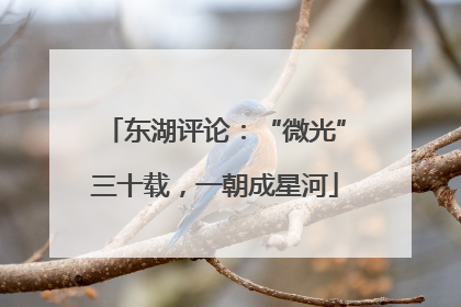 东湖评论：“微光”三十载，一朝成星河