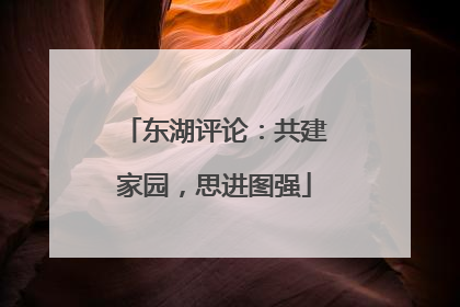 东湖评论：共建家园，思进图强