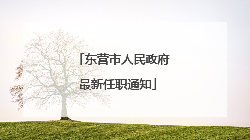 东营市人民政府最新任职通知