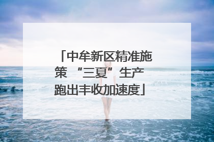 中牟新区精准施策 “三夏”生产跑出丰收加速度