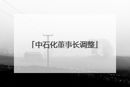 中石化董事长调整