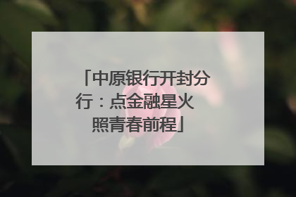 中原银行开封分行：点金融星火 照青春前程
