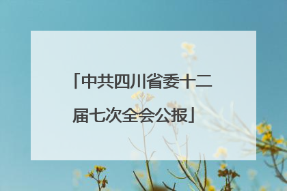 中共四川省委十二届七次全会公报