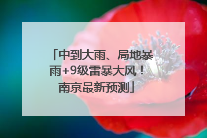 中到大雨、局地暴雨+9级雷暴大风！南京最新预测