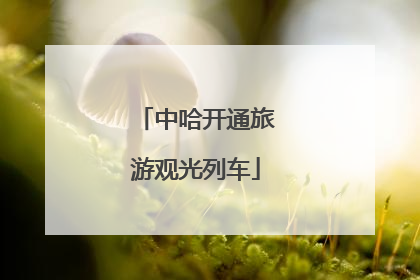 中哈开通旅游观光列车
