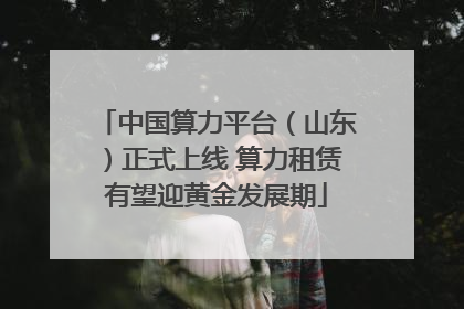 中国算力平台（山东）正式上线 算力租赁有望迎黄金发展期