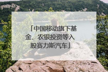 中国移动旗下基金、农银投资等入股赛力斯汽车