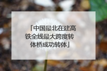中国最北在建高铁全线最大跨度转体桥成功转体