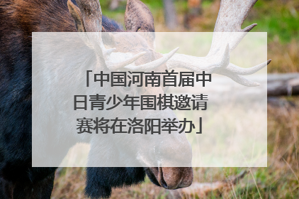 中国河南首届中日青少年围棋邀请赛将在洛阳举办