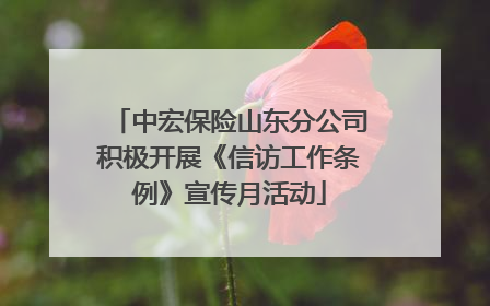 中宏保险山东分公司积极开展《信访工作条例》宣传月活动
