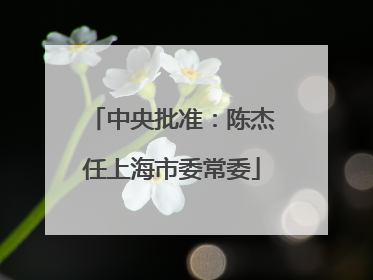 中央批准：陈杰任上海市委常委