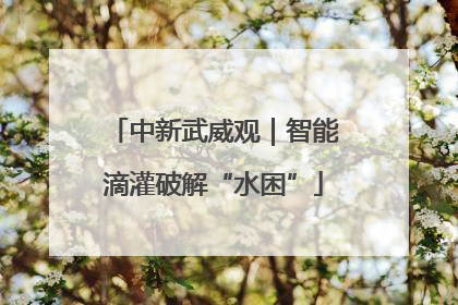 中新武威观｜智能滴灌破解“水困”