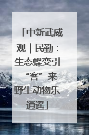 中新武威观｜民勤：生态蝶变引“客”来 野生动物乐逍遥