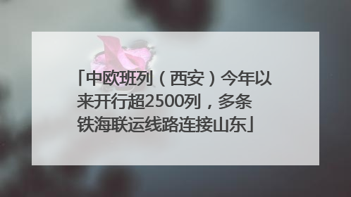 中欧班列（西安）今年以来开行超2500列，多条铁海联运线路连接山东