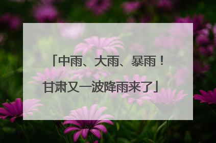 中雨、大雨、暴雨！甘肃又一波降雨来了