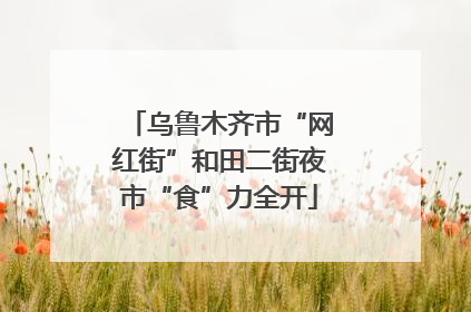 乌鲁木齐市“网红街”和田二街夜市“食”力全开