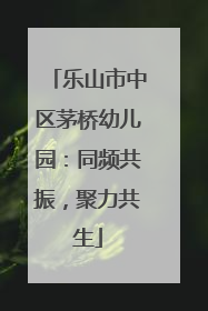 乐山市中区茅桥幼儿园：同频共振，聚力共生