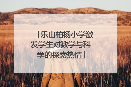乐山柏杨小学激发学生对数学与科学的探索热情