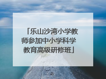乐山沙湾小学教师参加中小学科学教育高级研修班