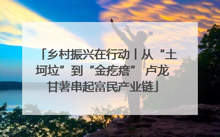 乡村振兴在行动丨从“土坷垃”到“金疙瘩” 卢龙甘薯串起富民产业链