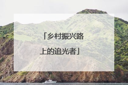 乡村振兴路上的追光者