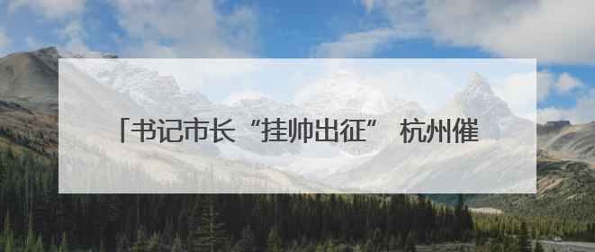 书记市长“挂帅出征” 杭州催动“小龙们”向AI高地进发