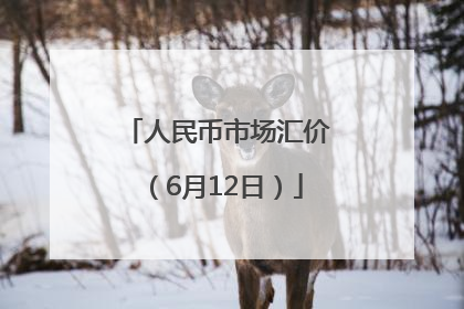 人民币市场汇价（6月12日）