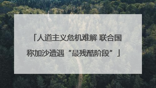 人道主义危机难解 联合国称加沙遭遇“最残酷阶段”