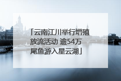 云南江川举行增殖放流活动 逾54万尾鱼游入星云湖