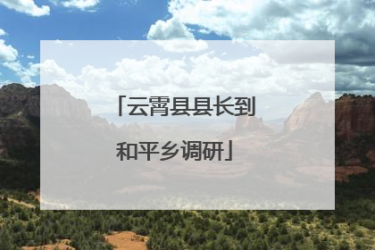 云霄县县长到和平乡调研