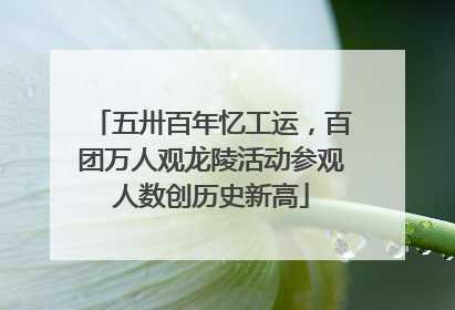 五卅百年忆工运，百团万人观龙陵活动参观人数创历史新高