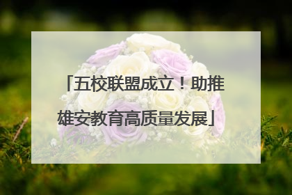 五校联盟成立！助推雄安教育高质量发展