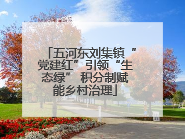 五河东刘集镇“党建红”引领“生态绿” 积分制赋能乡村治理