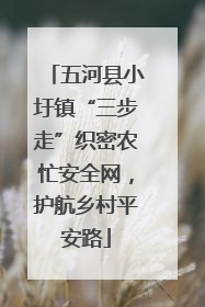 五河县小圩镇“三步走”织密农忙安全网，护航乡村平安路