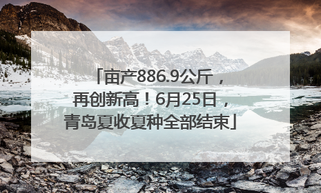 亩产886.9公斤，再创新高！6月25日，青岛夏收夏种全部结束