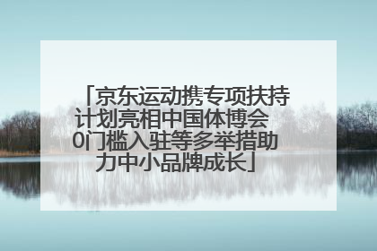 京东运动携专项扶持计划亮相中国体博会 0门槛入驻等多举措助力中小品牌成长