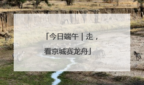 今日端午｜走，看京城赛龙舟