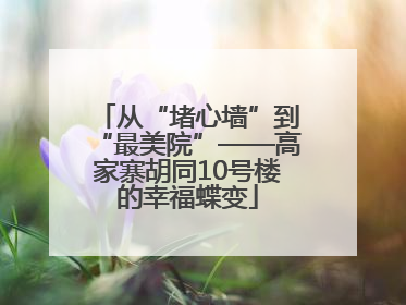 从“堵心墙”到“最美院”——高家寨胡同10号楼的幸福蝶变